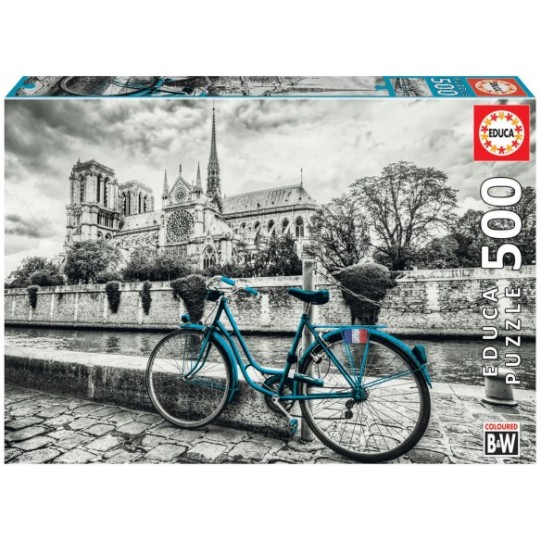 500 Bicicleta prop de Notre Dame
