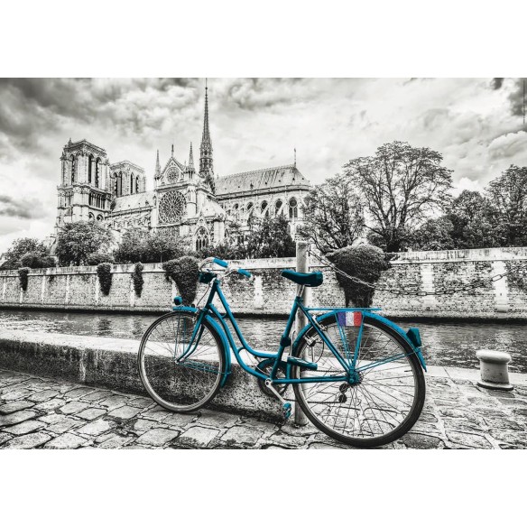 500 Vélo à côté de Notre-Dame