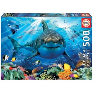 500 Gran tauró blanc