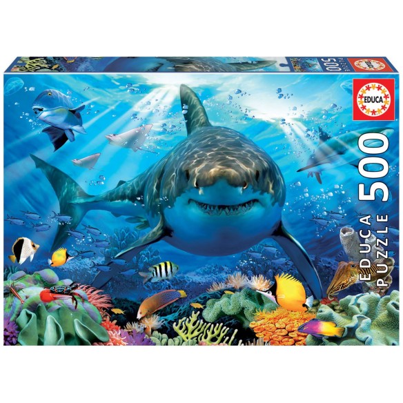 500 Gran tauró blanc