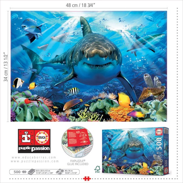  500 grande tubarão branco