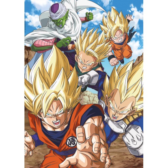 500 Dragon Ball
