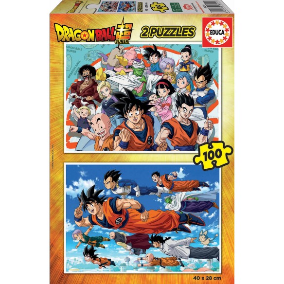 2x100 Dragon Ball