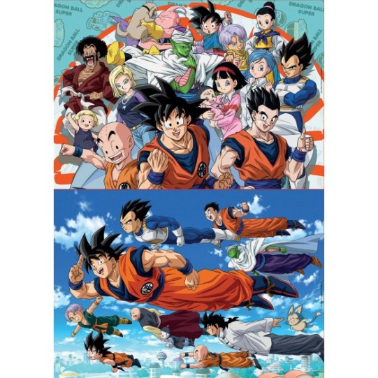 2x100 Dragon Ball