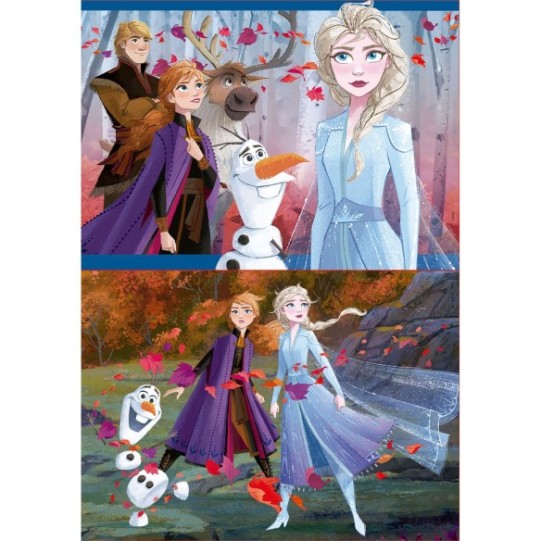 2x48 Frozen 2
