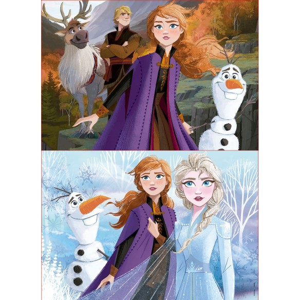 2x50 Reine Des Neiges 2