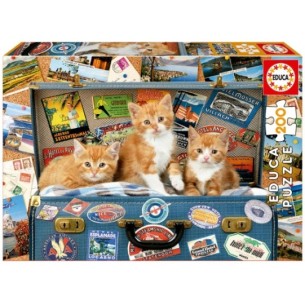 200 Travelling kittens