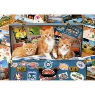 200 Travelling kittens 2