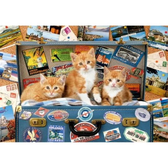 200 Petits chats voyageurs