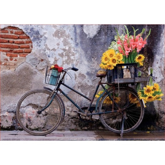 500 Bicyclette avec des fleurs