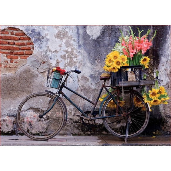 500 Bicyclette avec des fleurs