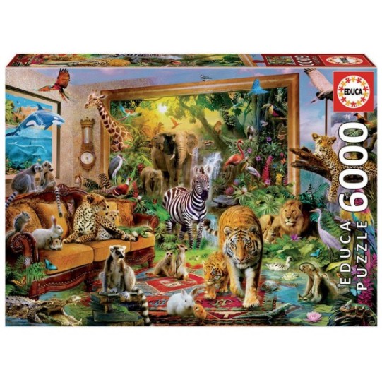 6000 Entrant a l´habitació