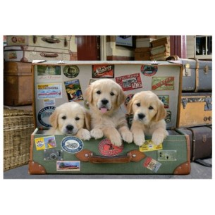 500 Des chiots dans les bagages 2