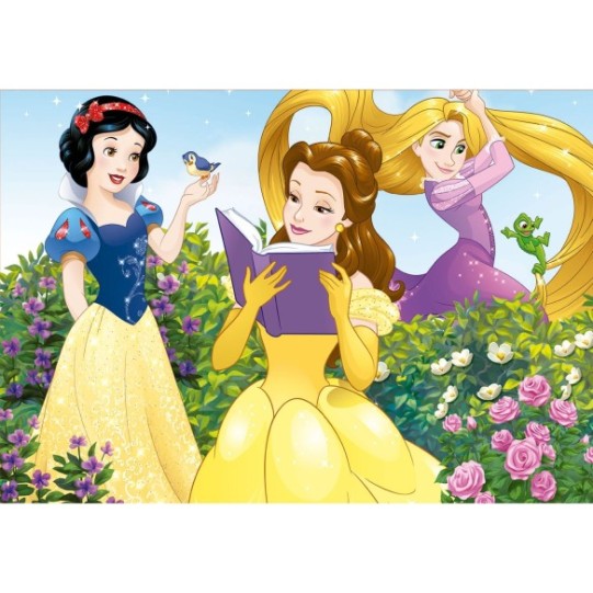 100 Disney Princesses
