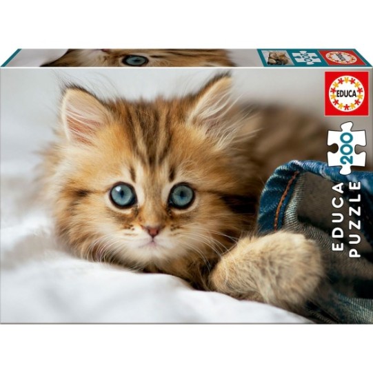 200 Kitten