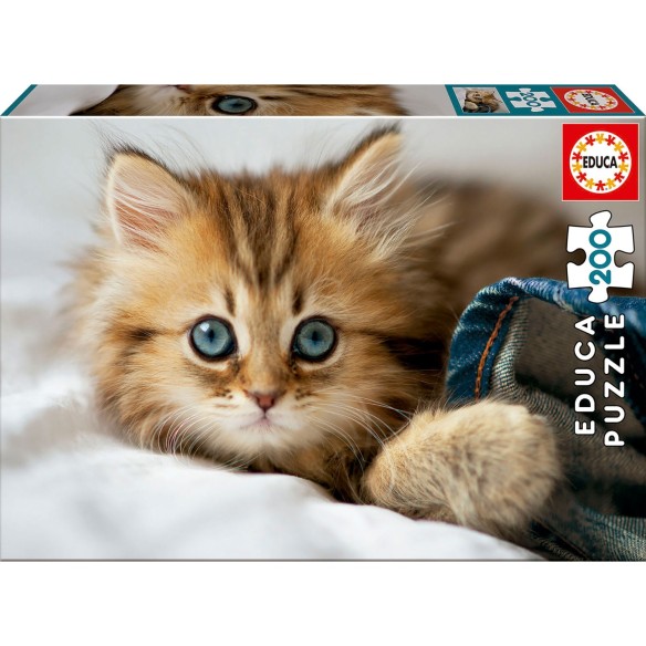 200 Chaton
