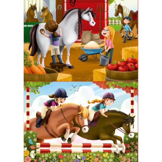 2x48 Chevaux
