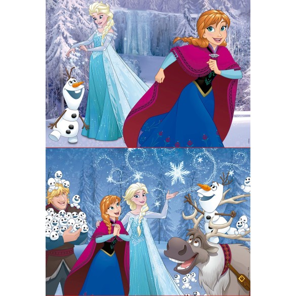 2x48 Frozen