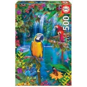 500 Bird tropical land