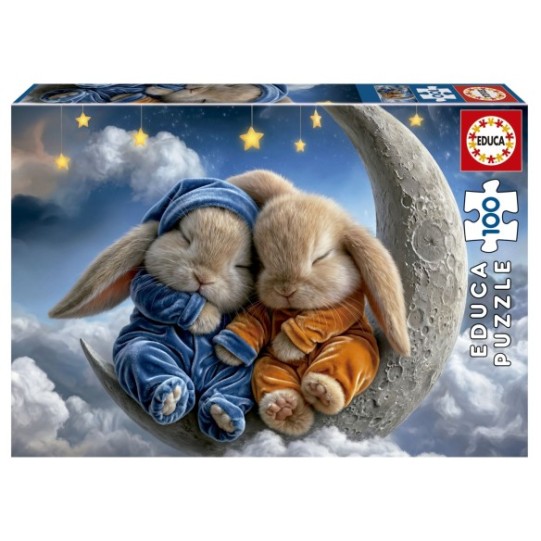 100 Sueños de Conejitos